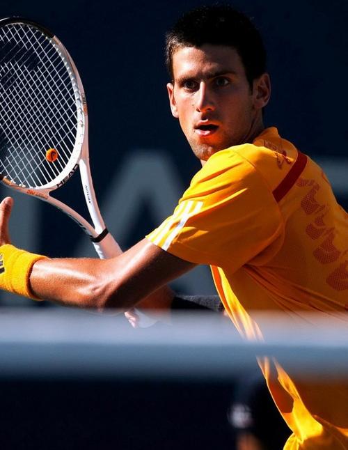 因为它的特 因为它的特